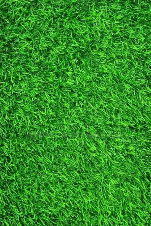 Artificial Grass With a Cushiony Cushion Close to a Natural Grass
