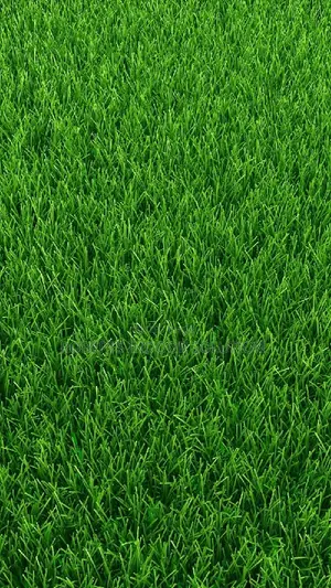 Grass Carpet Ideal for Event Venues