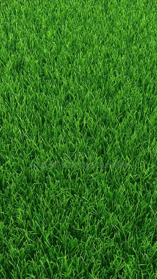 Grass Carpet Ideal for Event Venues