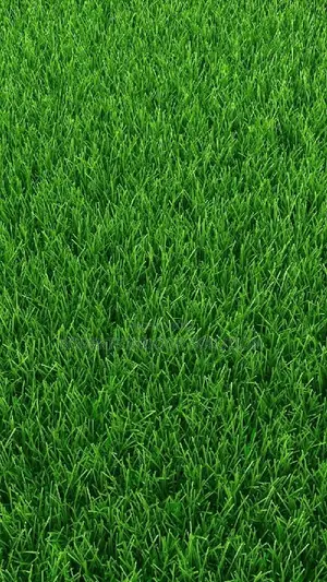 Grass Carpet Ideal for Event Venues