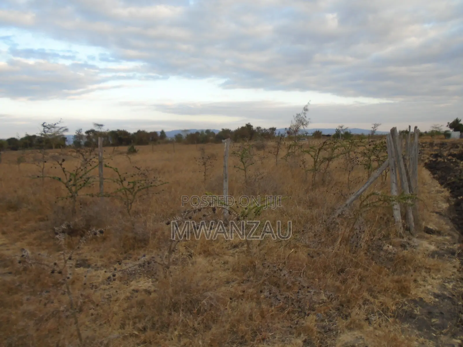 2 Adjoining Prime Plots for Sale Joska