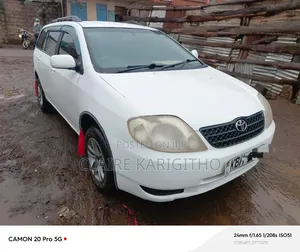 Toyota Corolla Fielder 1.5 Petrol AWD 2010 White