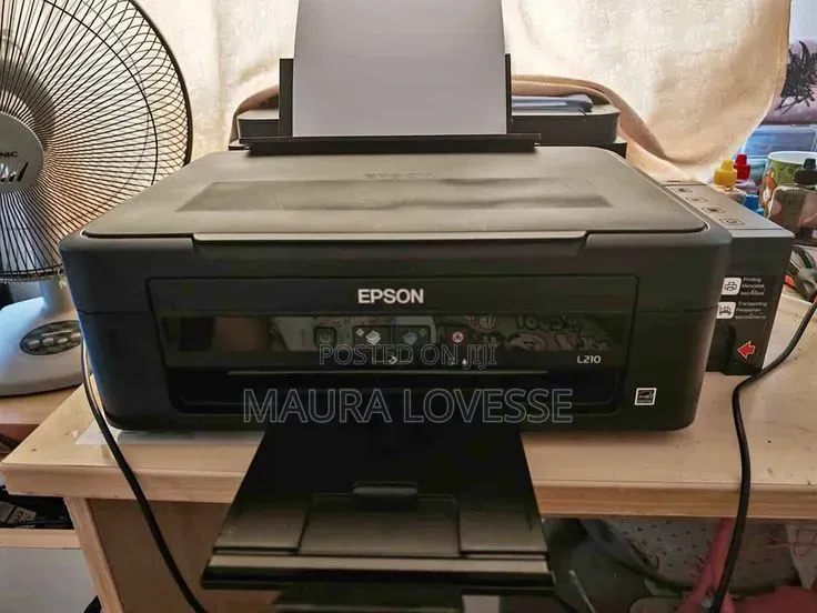 Epson L210