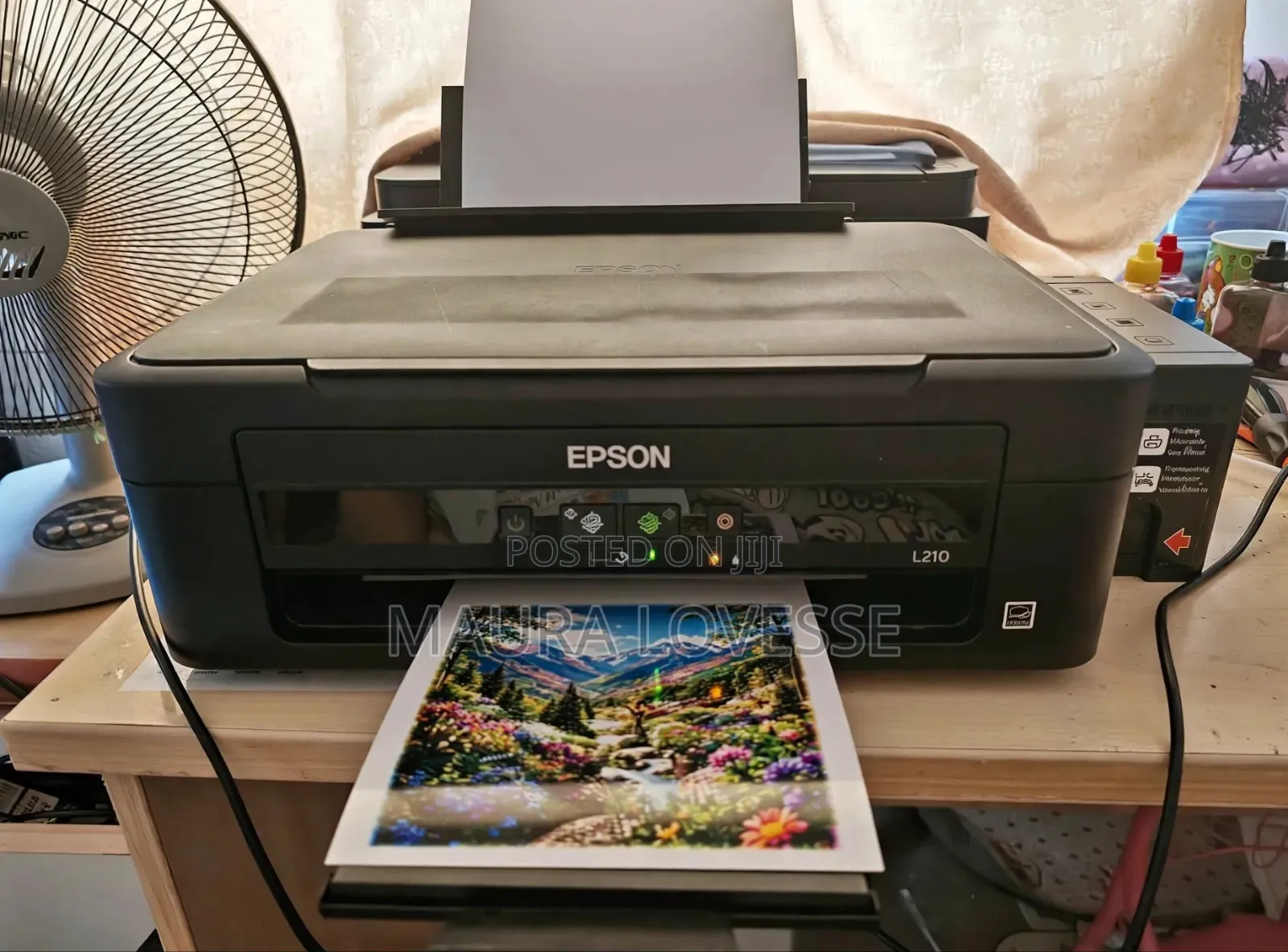 Epson L210