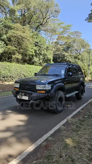 Toyota Land Cruiser 1995 Green