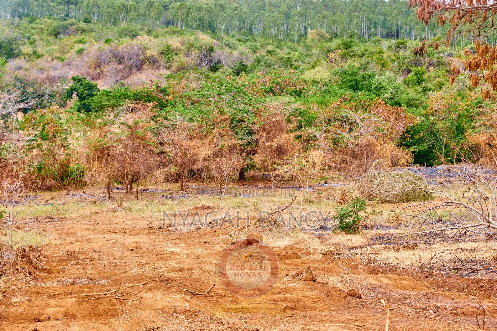 Plots for Sale