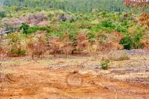 Plots for Sale