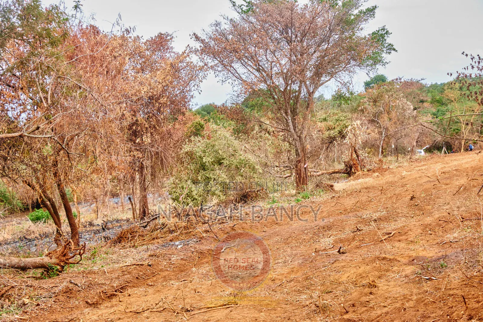 Plots for Sale