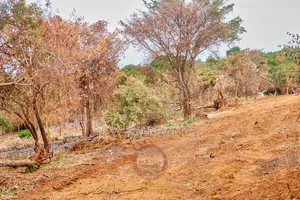 Plots for Sale