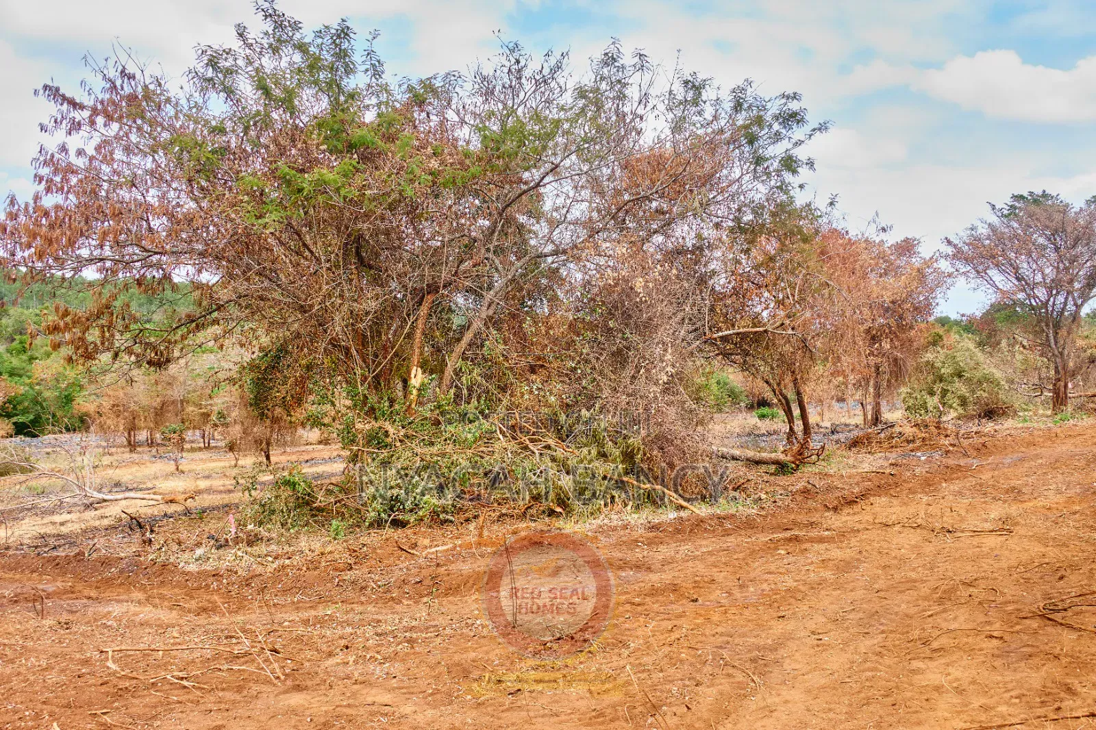Plots for Sale