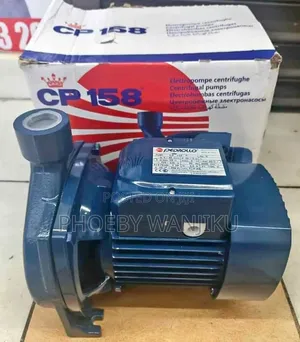 1HP Pedrollo Water Pump