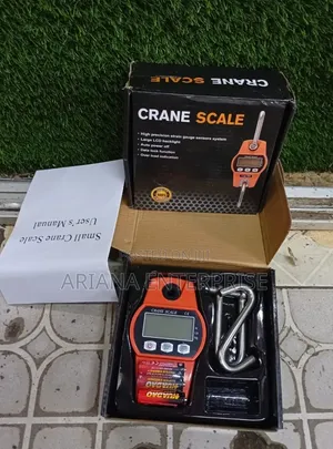 OCS-D 500kg Crane Scale