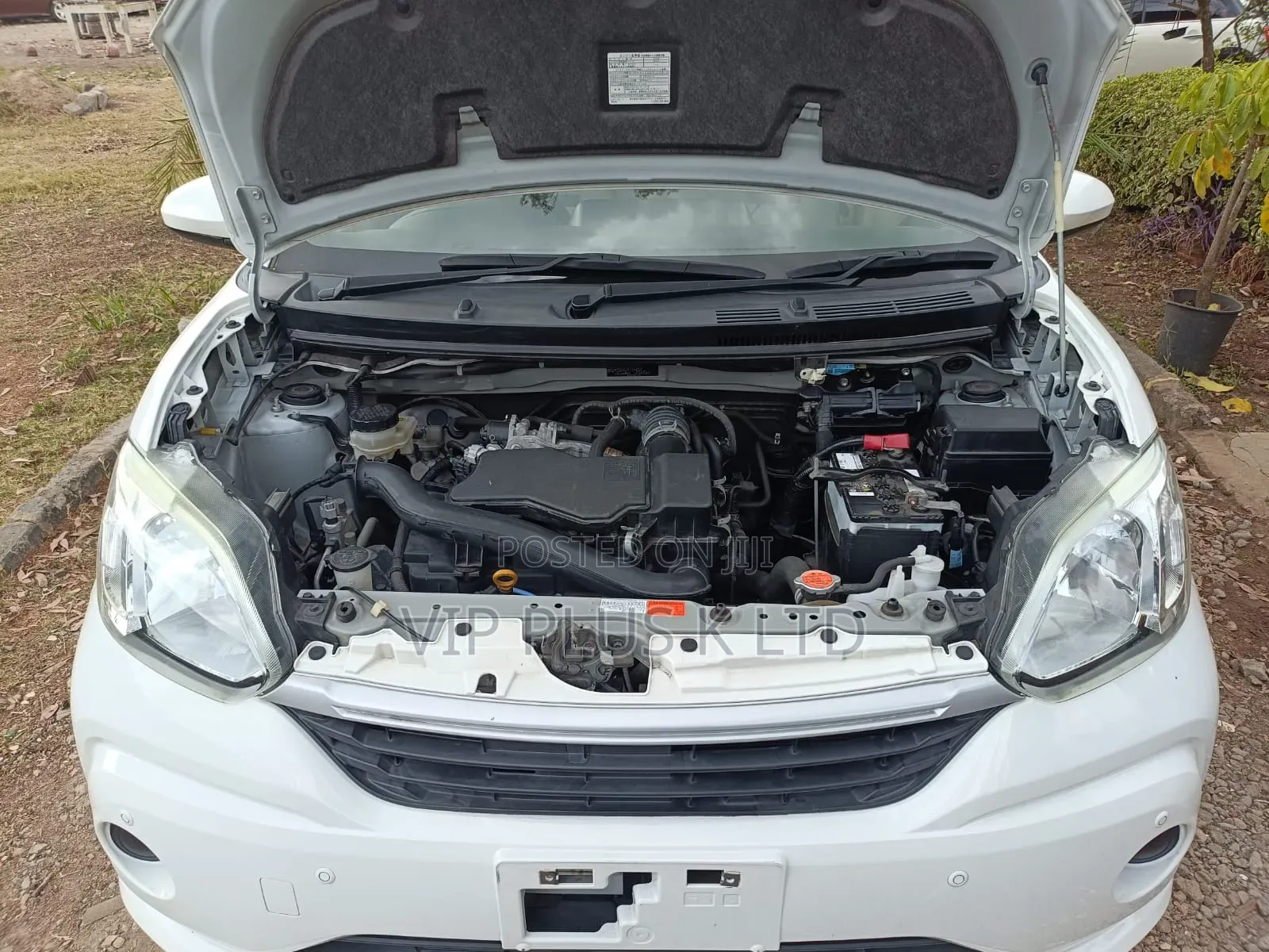 Toyota Passo 2019 White