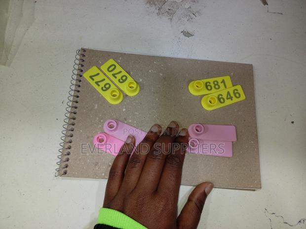 Ear Tags - Color Brightness