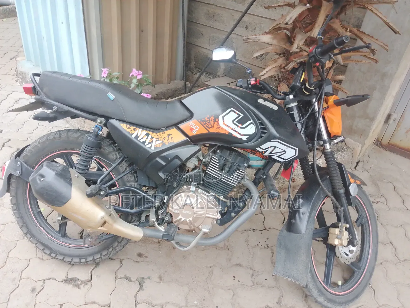 Max-S 2024 Orange