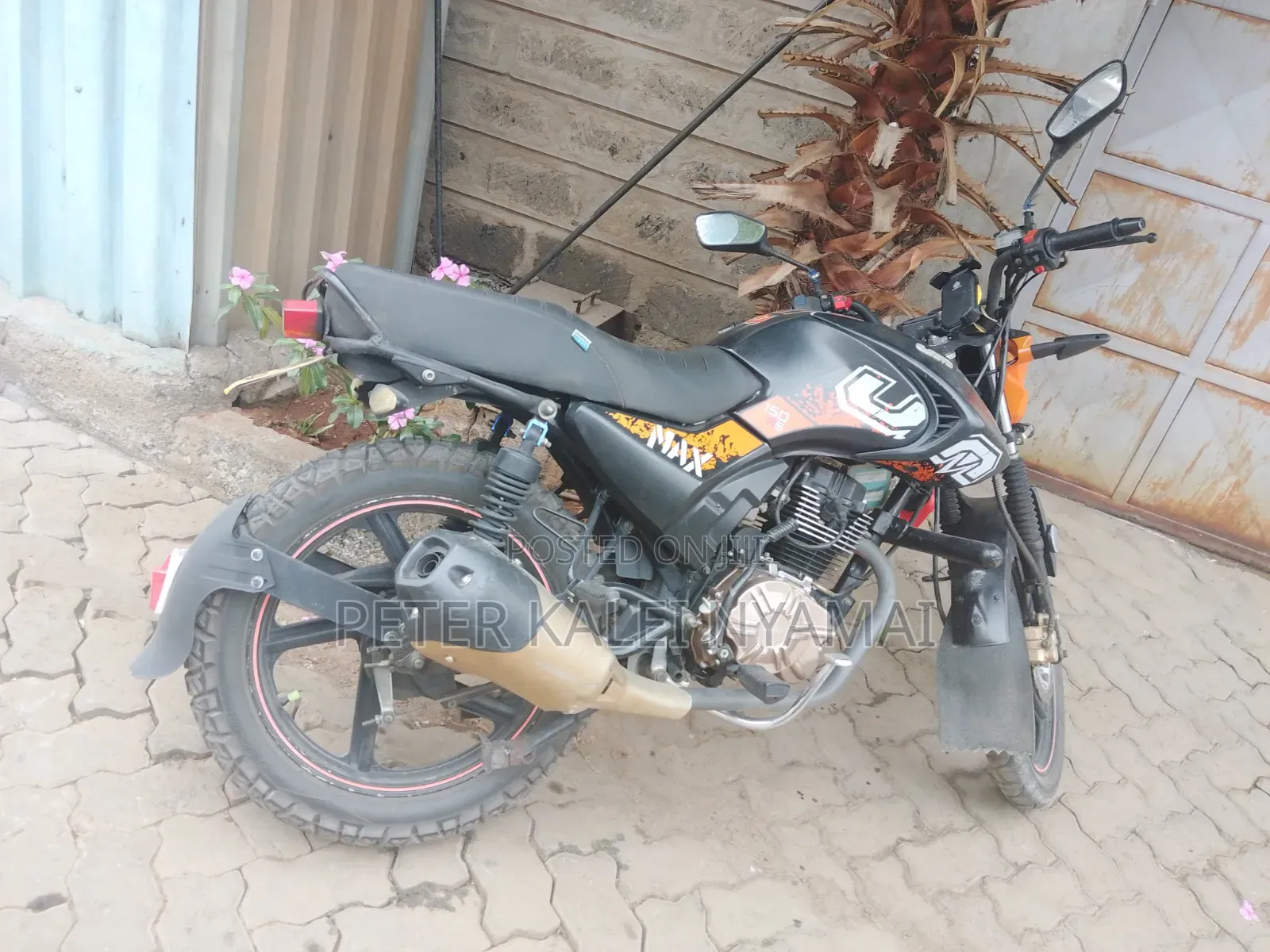 Max-S 2024 Orange