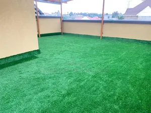 30 Mm Turf Grass