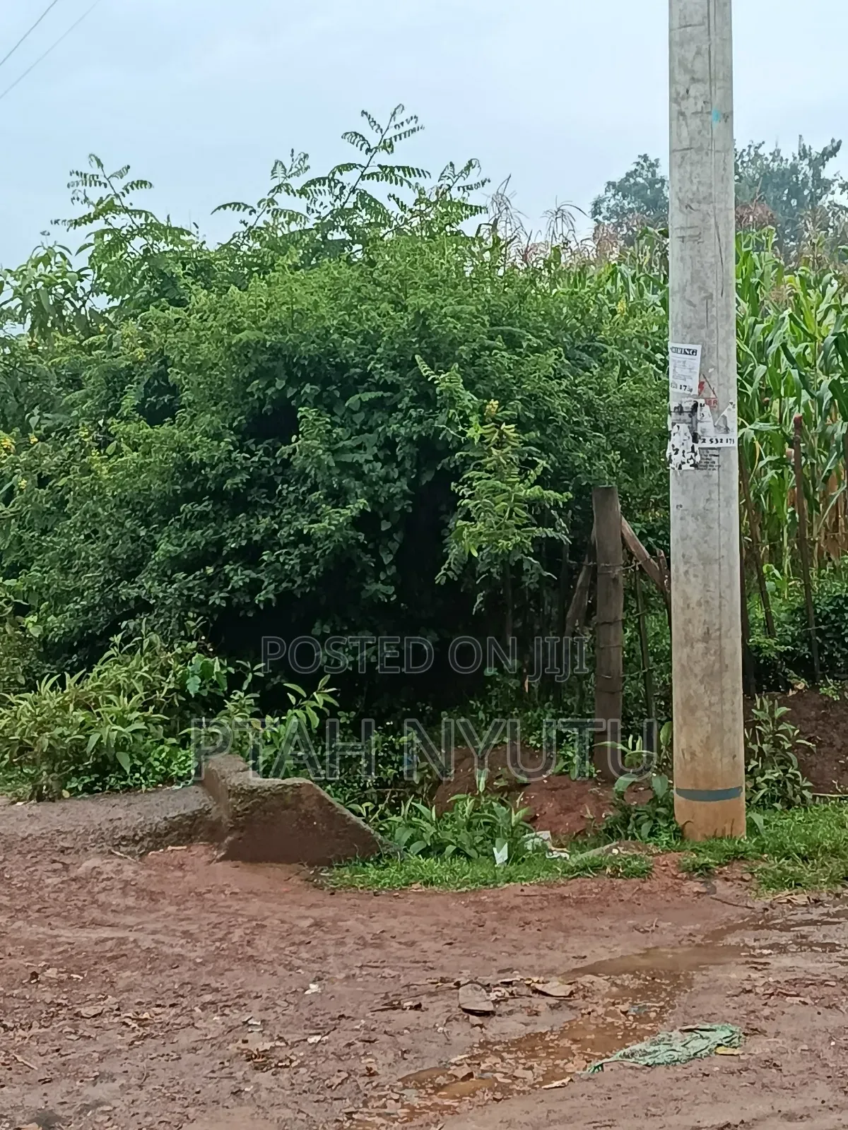 Looking for Farm Land