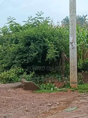 Looking for Farm Land
