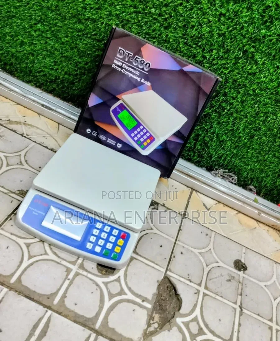 DT-580 30kg Digital Price-Computing Scale
