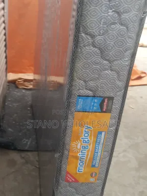 Quilted 8 Inch Matress 4*6