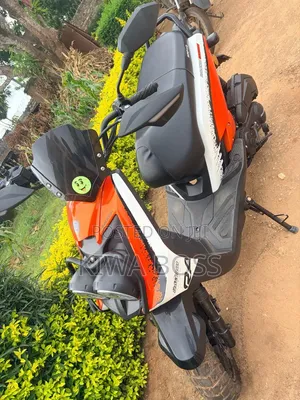 Raleigh 150cc 2024 Orange