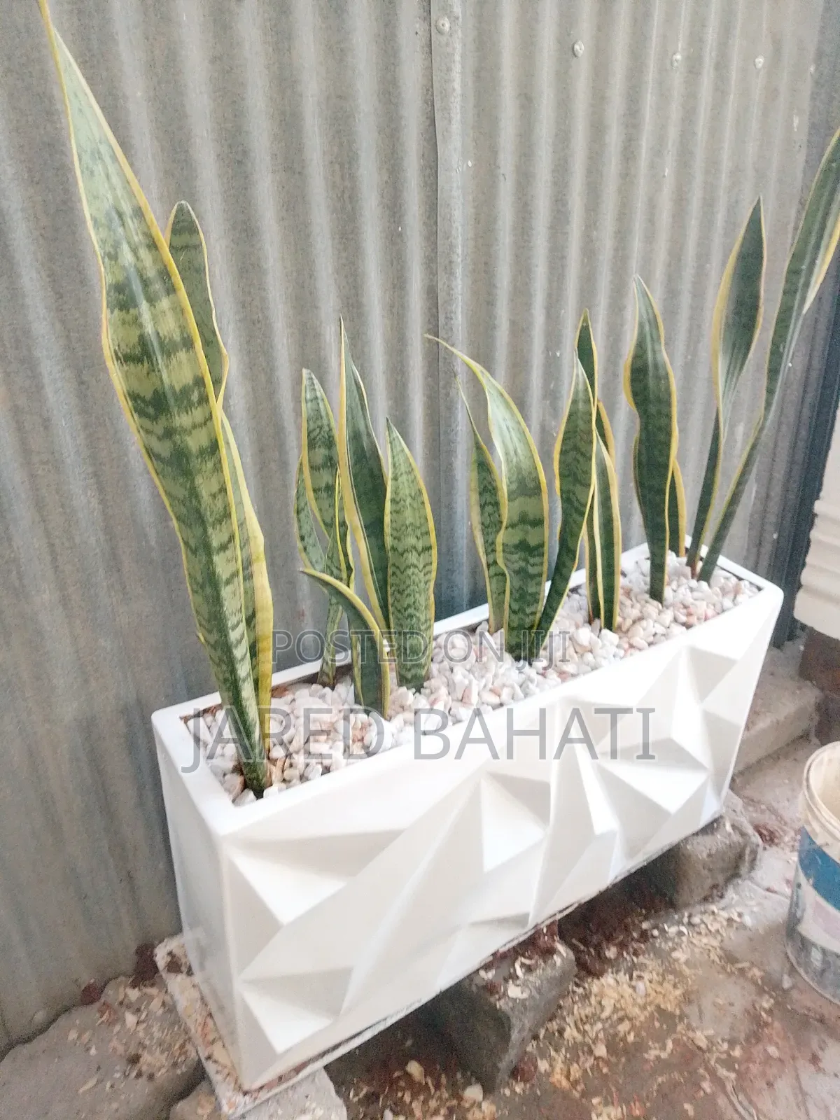 Jades Landscaping Services in Nairobi