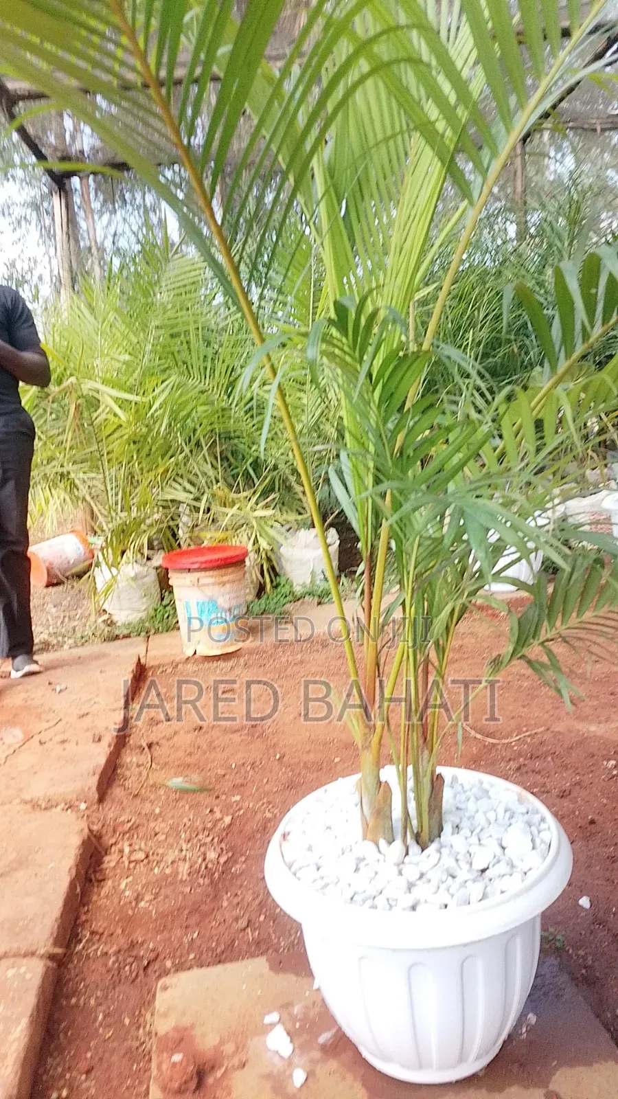 Jades Landscaping Services in Nairobi