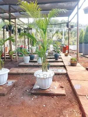 Jades Landscaping Services in Nairobi