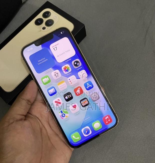 Apple iPhone 13 Pro Max 256 GB Gold