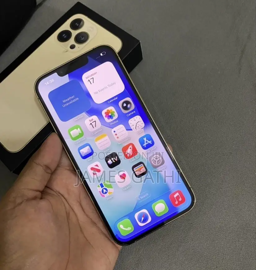 Apple iPhone 13 Pro Max 256 GB Gold