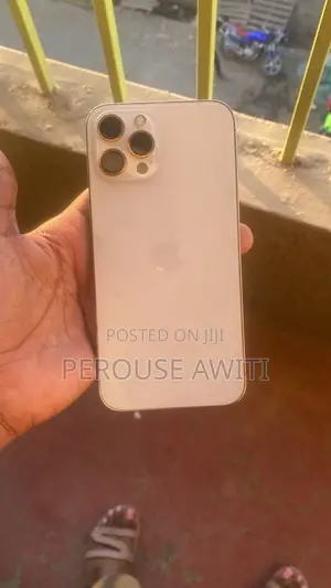 Apple iPhone 12 Pro Max 256 GB White