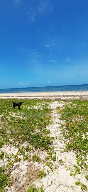 For Sale 1 Acre Beach Land Bamburi