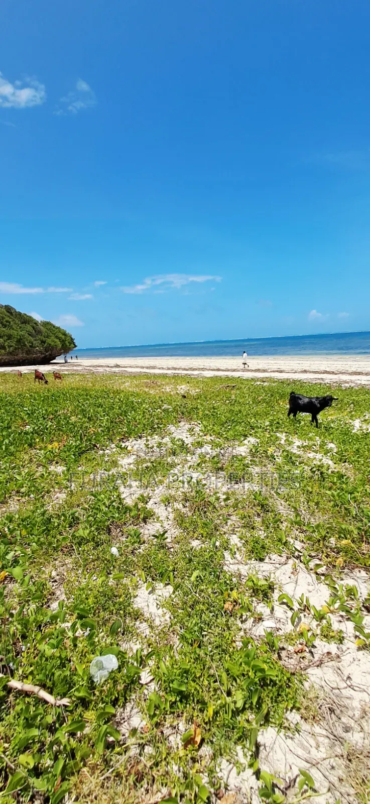 For Sale 1 Acre Beach Land Bamburi