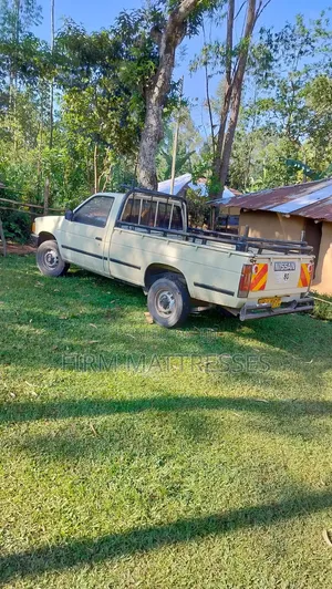 Nissan Pick-Up 1995 Beige