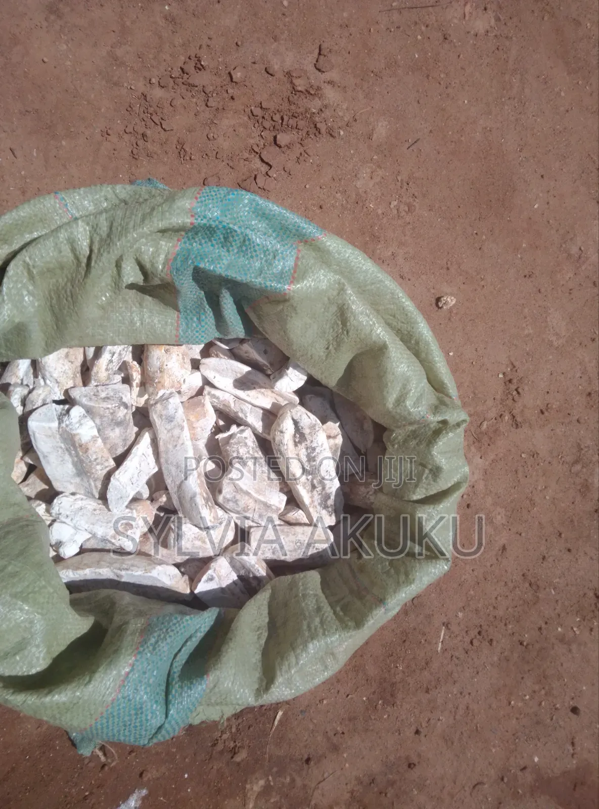 Cassava for Sell
