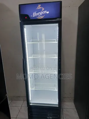 Sandenintercool 400l Fridge Display