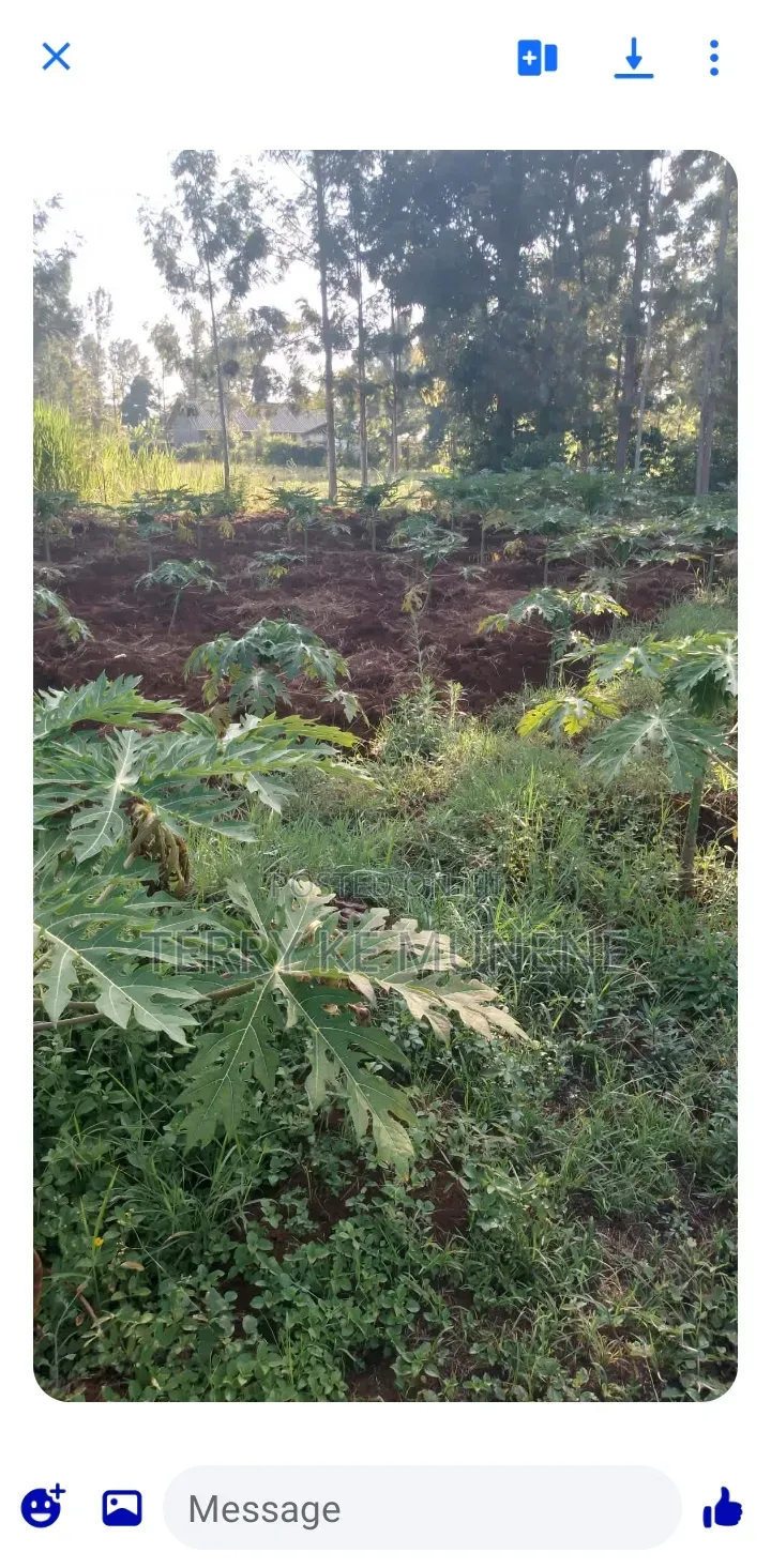 Land for Sale
