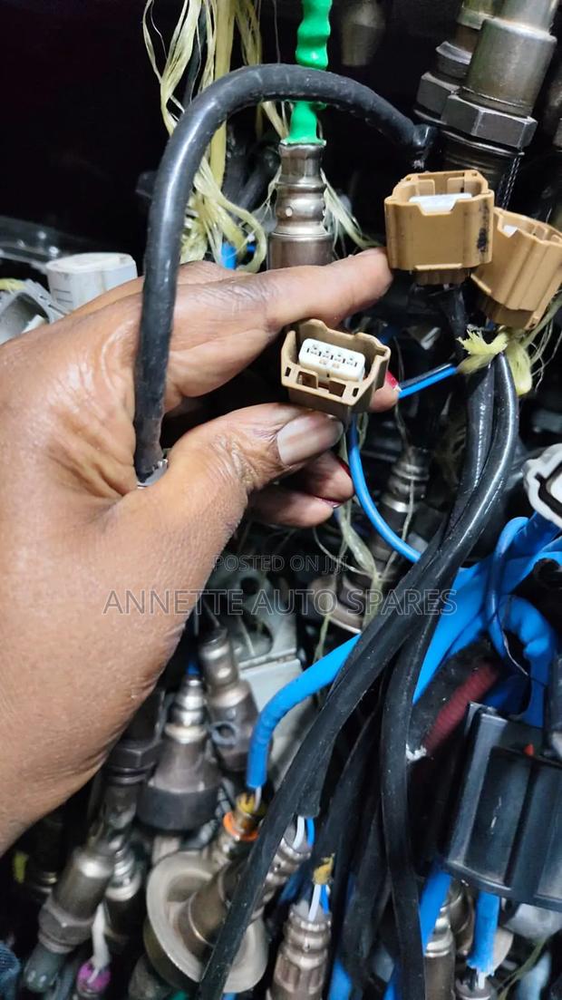 Oxygen Sensors Nissan Sylphy