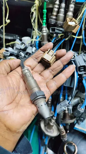 Oxygen Sensors Nissan Sylphy