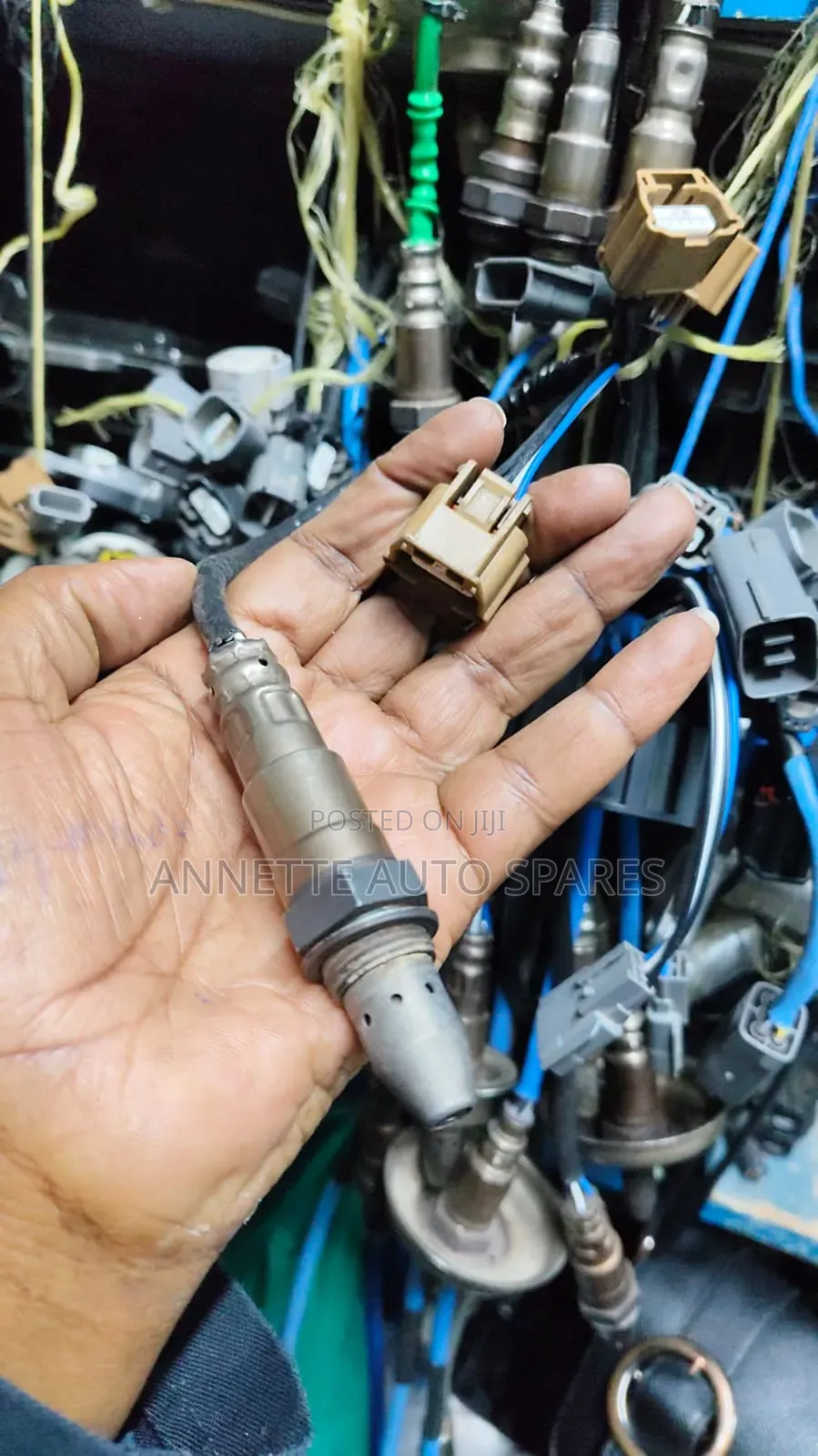 Oxygen Sensors Nissan Sylphy