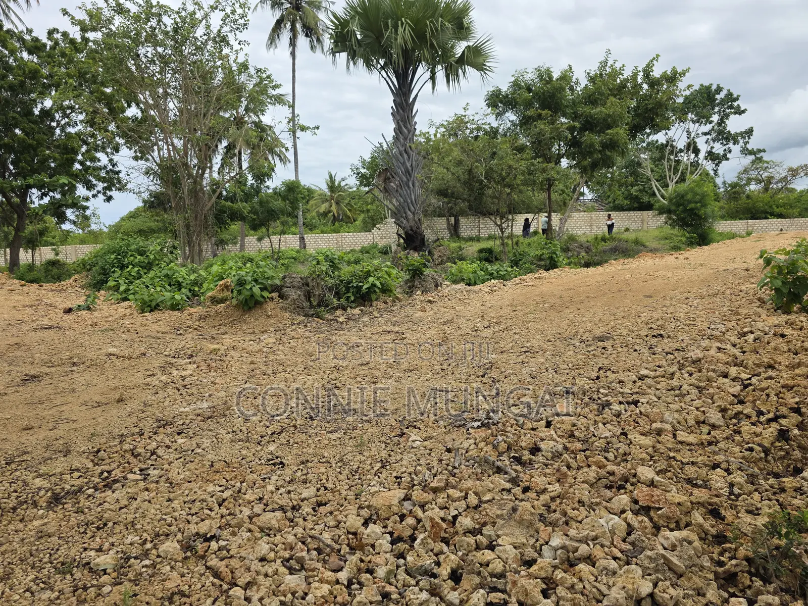 Bahari Residency Diani: Own 1/8 Acre Near the Beach! Soft Life Living