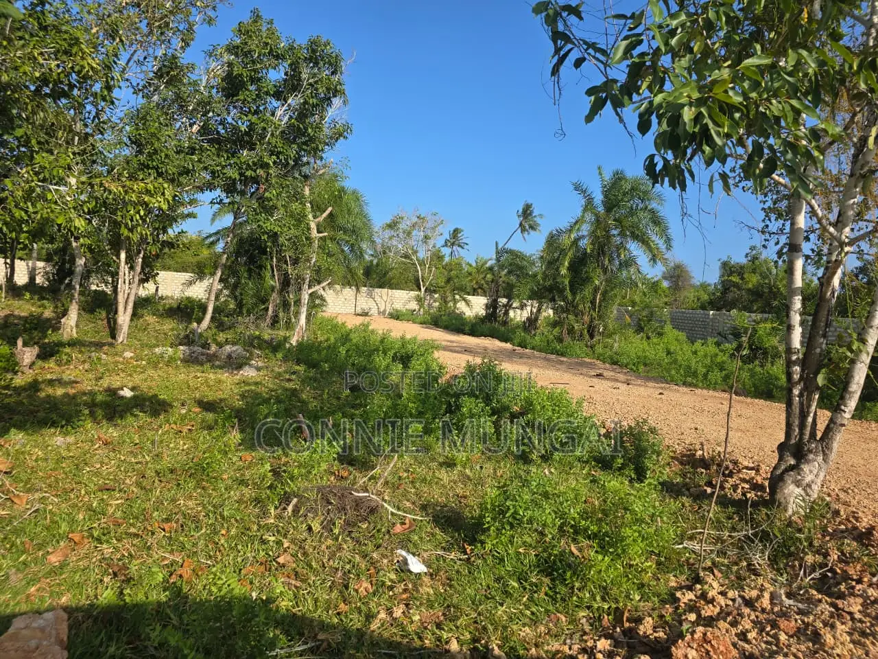 Bahari Residency Diani: Own 1/8 Acre Near the Beach! Soft Life Living