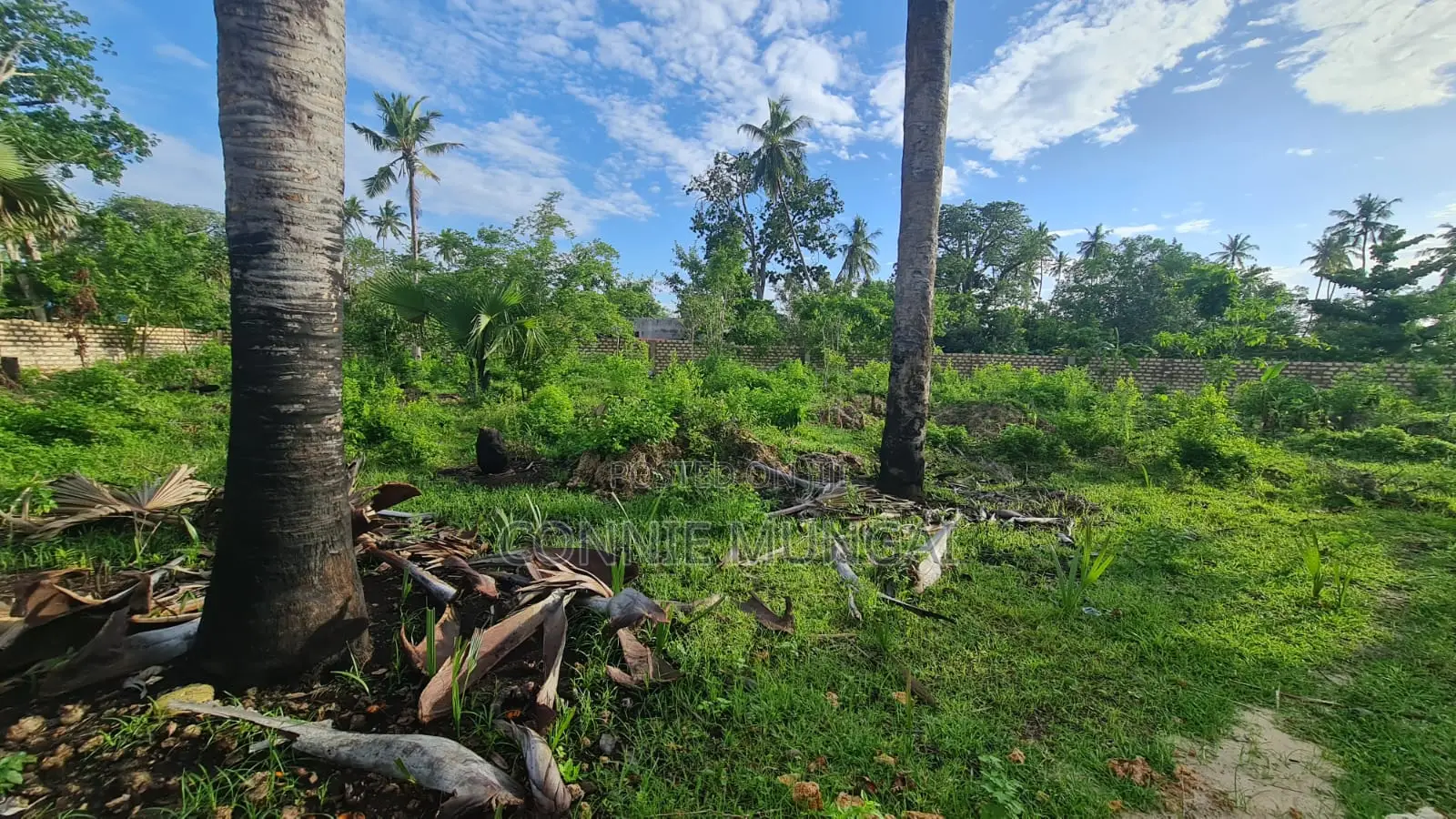 Bahari Residency Diani: Own 1/8 Acre Near the Beach! Soft Life Living