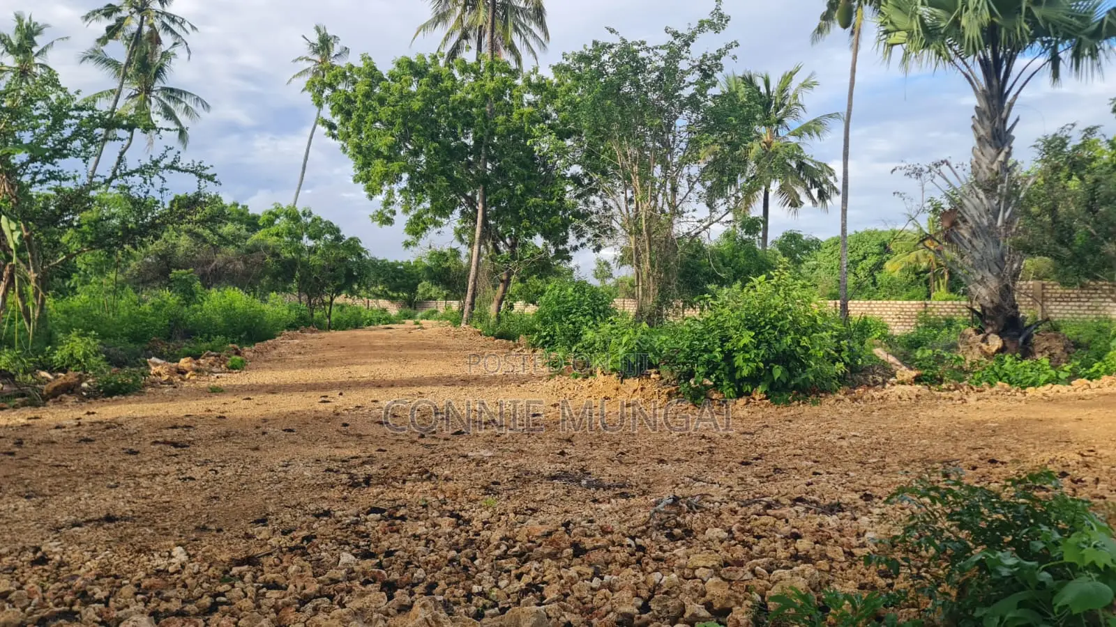 Bahari Residency Diani: Own 1/8 Acre Near the Beach! Soft Life Living