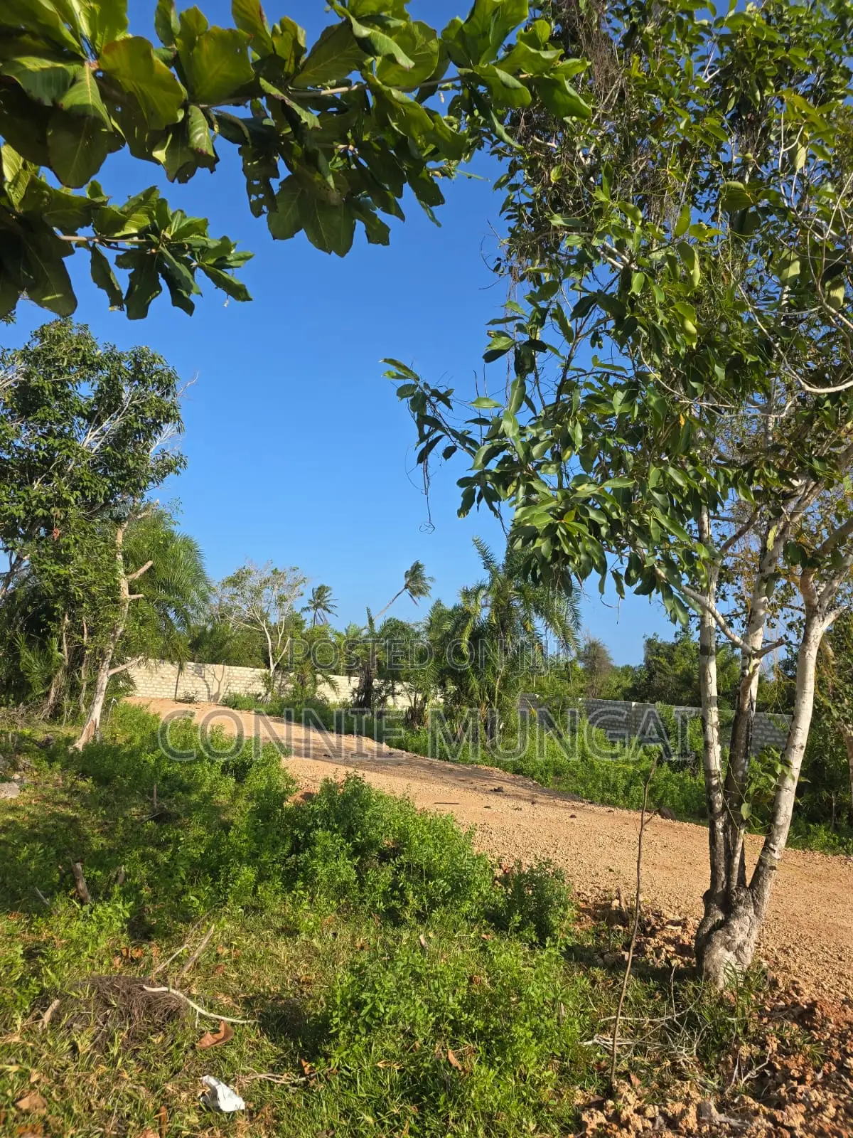 Bahari Residency Diani: Own 1/8 Acre Near the Beach! Soft Life Living
