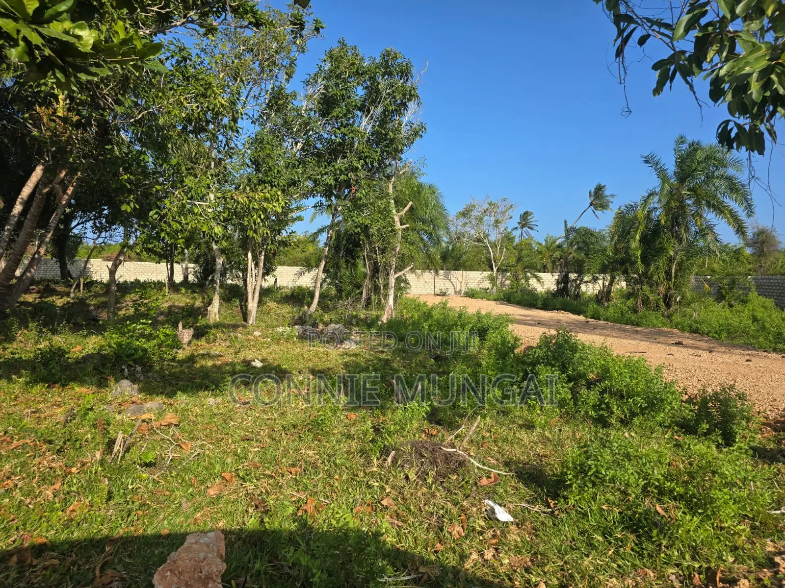 Bahari Residency Diani: Own 1/8 Acre Near the Beach! Soft Life Living