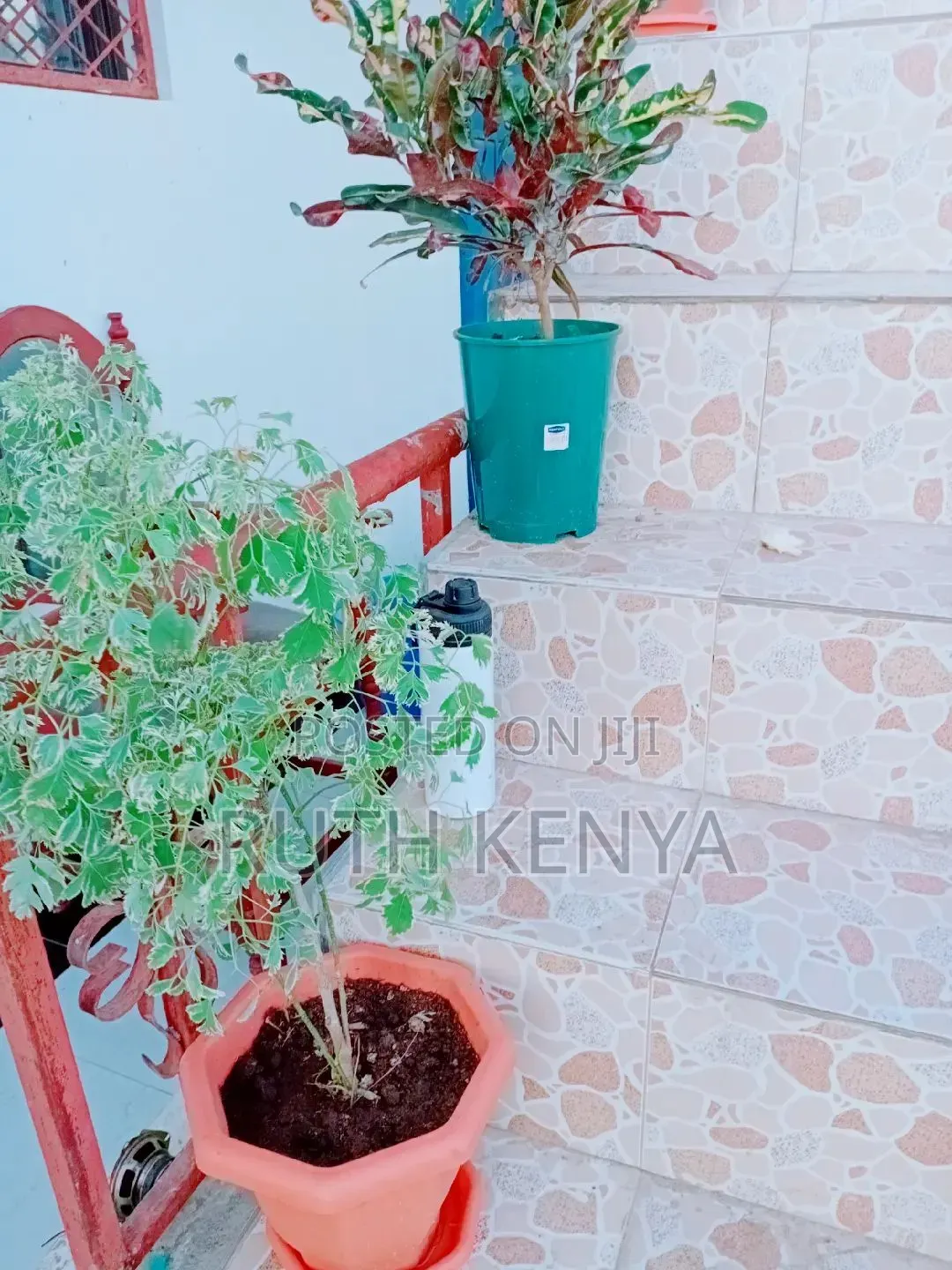 Studio Airbnb Mombasa Likoni - Shelly Beach 1,500/= Per Day