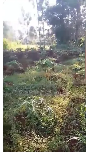 Land for Sale
