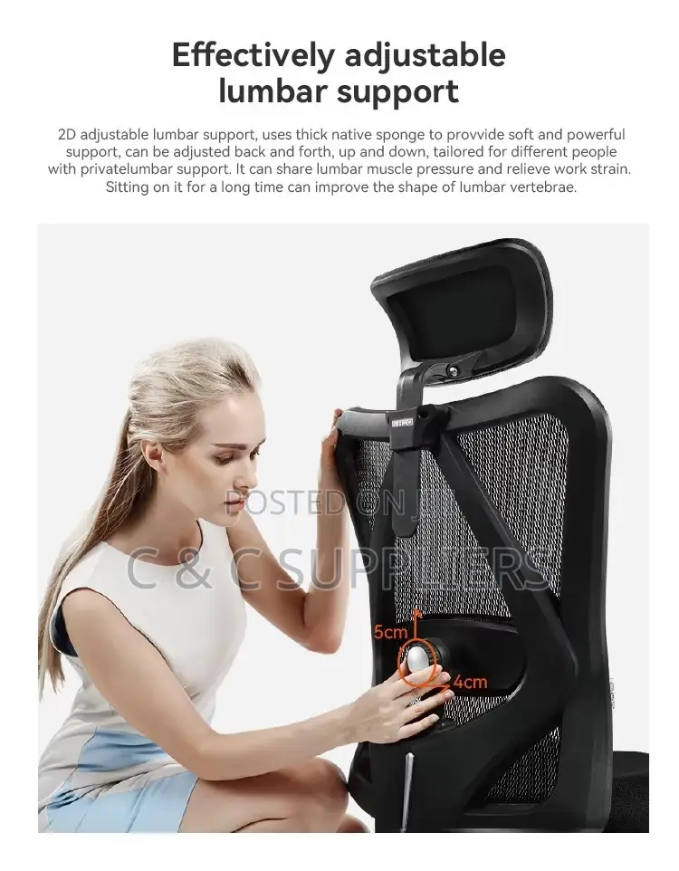 Adjustable Desk Chair With Lumbar Support